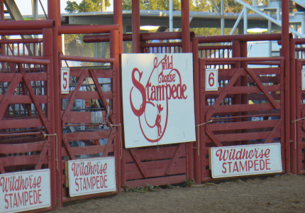Wolf Point Stampede Sign
