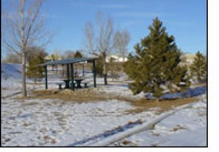 Nellie's Park
