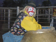 Wolf Point Stampede Rodeo Clown