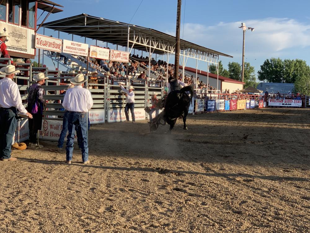 Wolf Point “Wild Horse” Stampede Wolf Point Montana