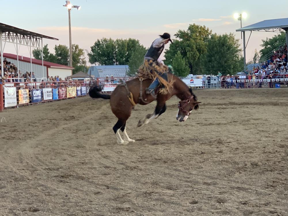 Wolf Point “Wild Horse” Stampede Wolf Point Montana