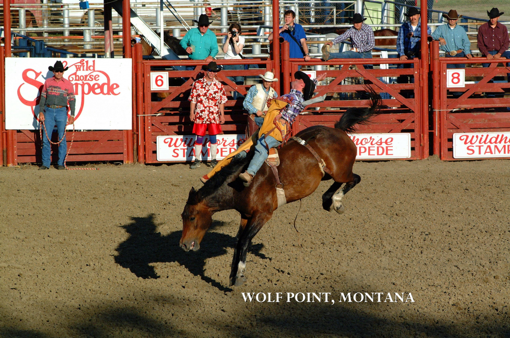 Wolf Point “Wild Horse” Stampede Wolf Point Montana