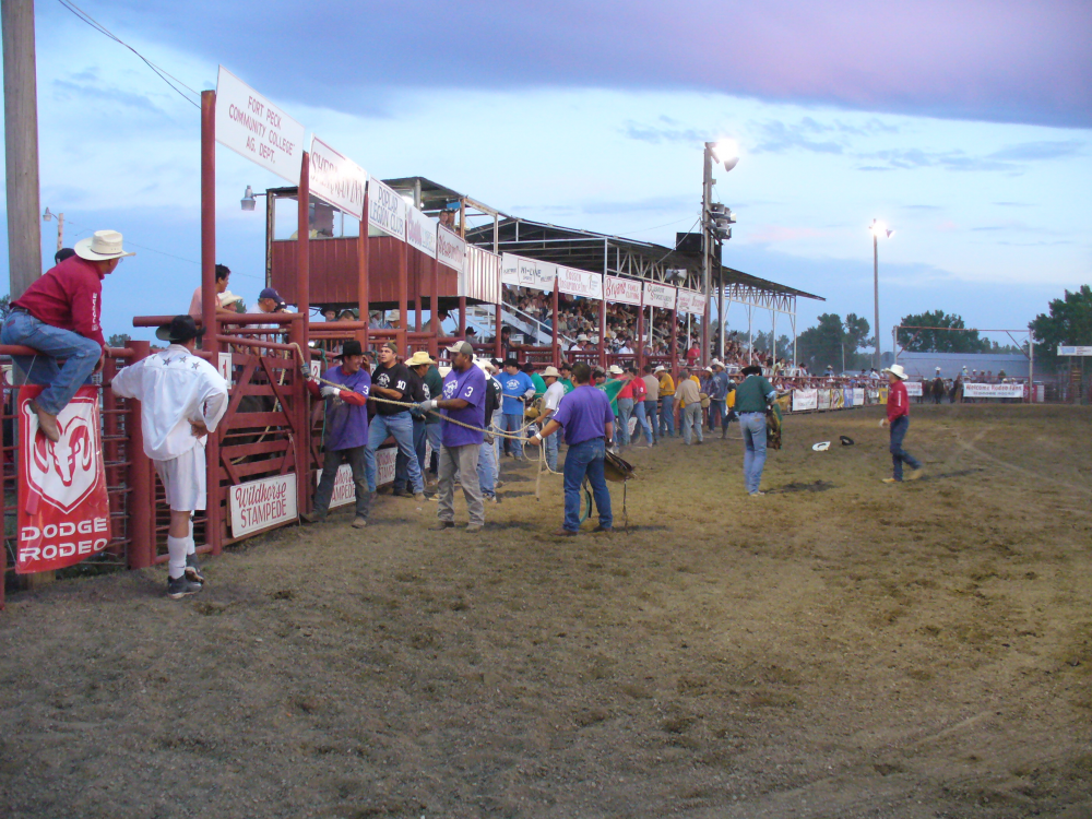 Wolf Point “Wild Horse” Stampede Wolf Point Montana